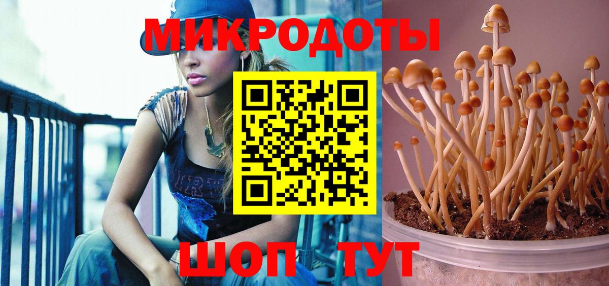 Кулебаки  наркотики  Вход с VPN  Галлюциногенные грибы MAGIC MUSHROOMS 