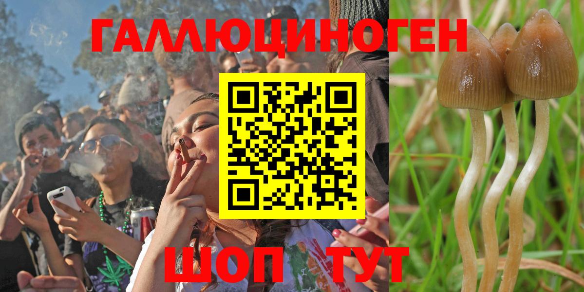 Псилоцибиновые грибы Magic Shrooms Кулебаки